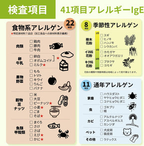 41項目のアレルギー検査キット
